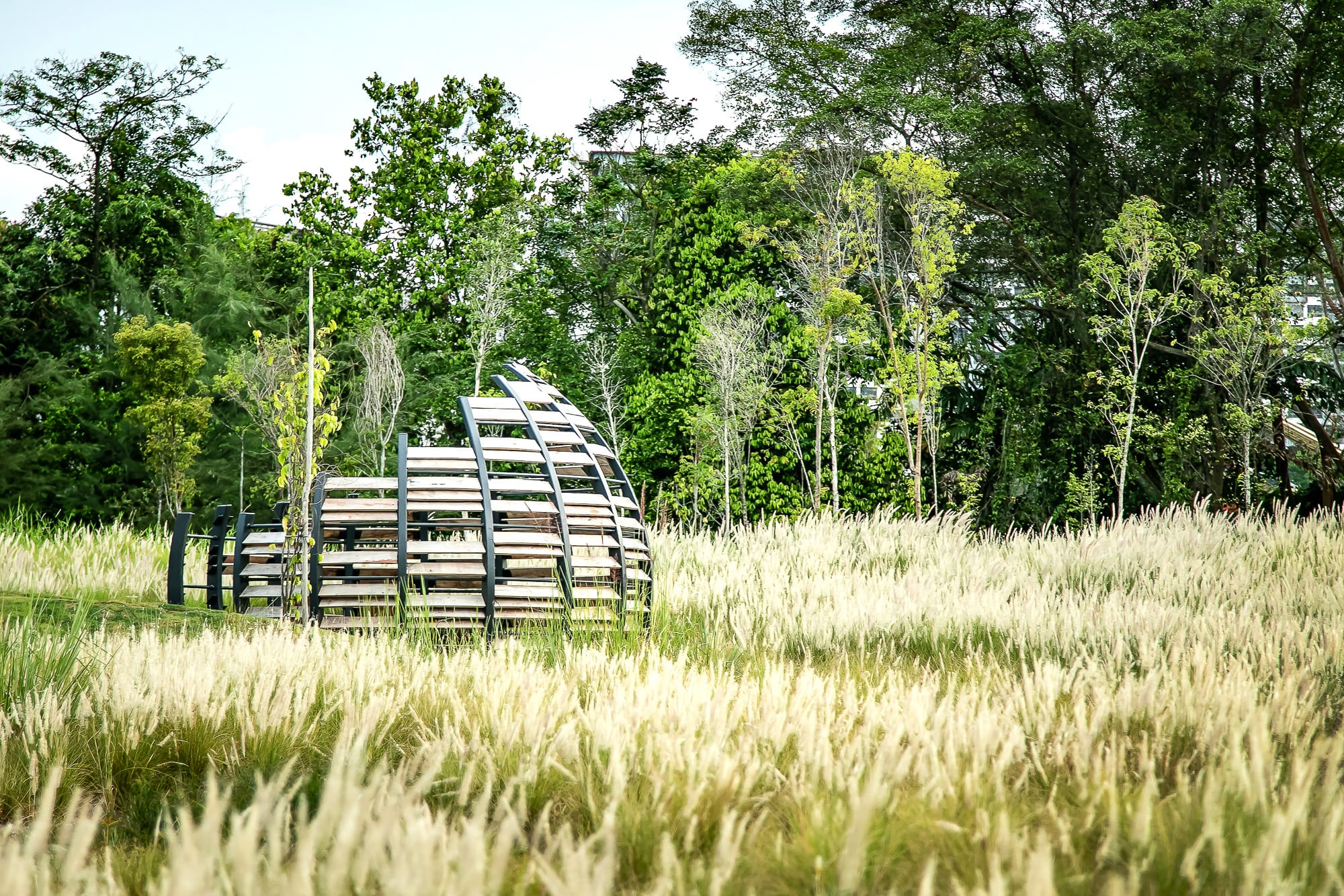 A modern wooden gazebo structure sits amidst tall grass in front of a lush, green forest backdrop.